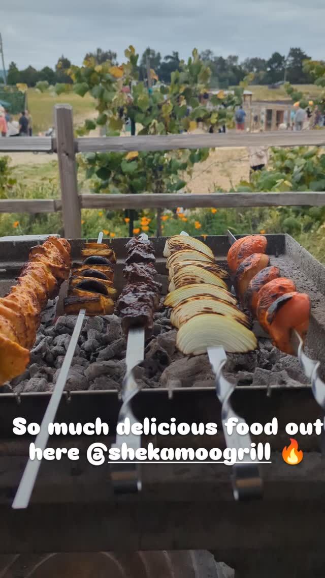 Come on out to @sloranchfarms and check out the annual blueberry festival going on! There are delicious treats everywhere you look and the grill is HOT over here at Shekamoo Grill! 🔥

#deliciousfood #persianfood #eatlocal #supportlocal #blueberryfestival